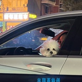 番茄