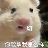 蕉下客
