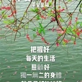 飘扬