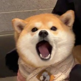 ⚈_⚈ ୭