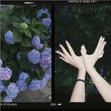 行走中的海鲜菇