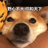 走开，别跟我杠