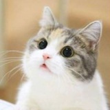(ب_ب)