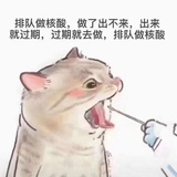 小橙子