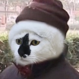 小乖