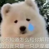 一道彩虹