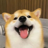 没有ID