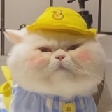 刚劲锅滚滚滚