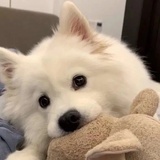kkkami