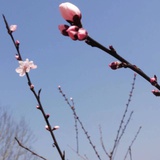 划落肩头的雨滴