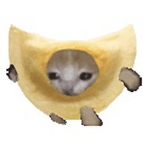 封愁