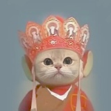 美年达