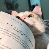 克斯维尔的明天