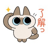 dddl-