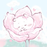 渐花近