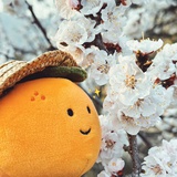 冰橙子
