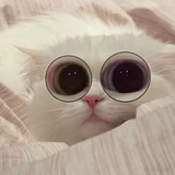 mfjaknxh