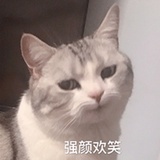 你的圈外女友