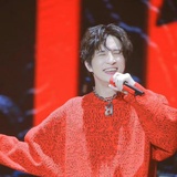 11是条猫