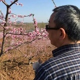 胡鹏