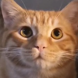 王尔德