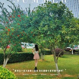 来个帅t