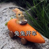夏天开心耀眼