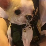 nana