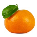橘子🍊