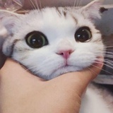 艾玛沃特森