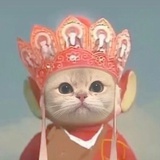 饿了就喝奶咖