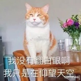 麻酱拌面
