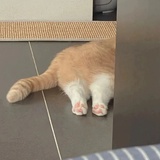海盐棒冰
