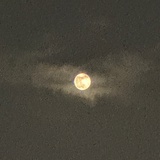 壹颗橙
