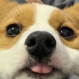 cococ