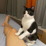浪尖律诗