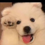 小施钓大鱼