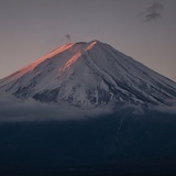 陈琢