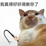 小中大