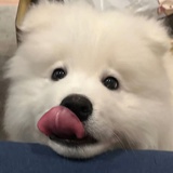 一半夏天