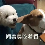 注意一点好吗