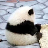 非白白白白