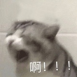 吃不吃随我