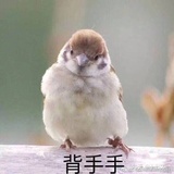 自由