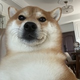 别把风说完