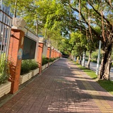 🐙章鱼烧烤酱汁