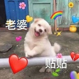 名井南（营业中