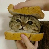 Komorebi