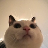 许钟生