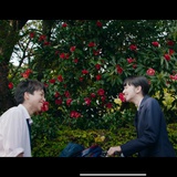 孙策不在家哦